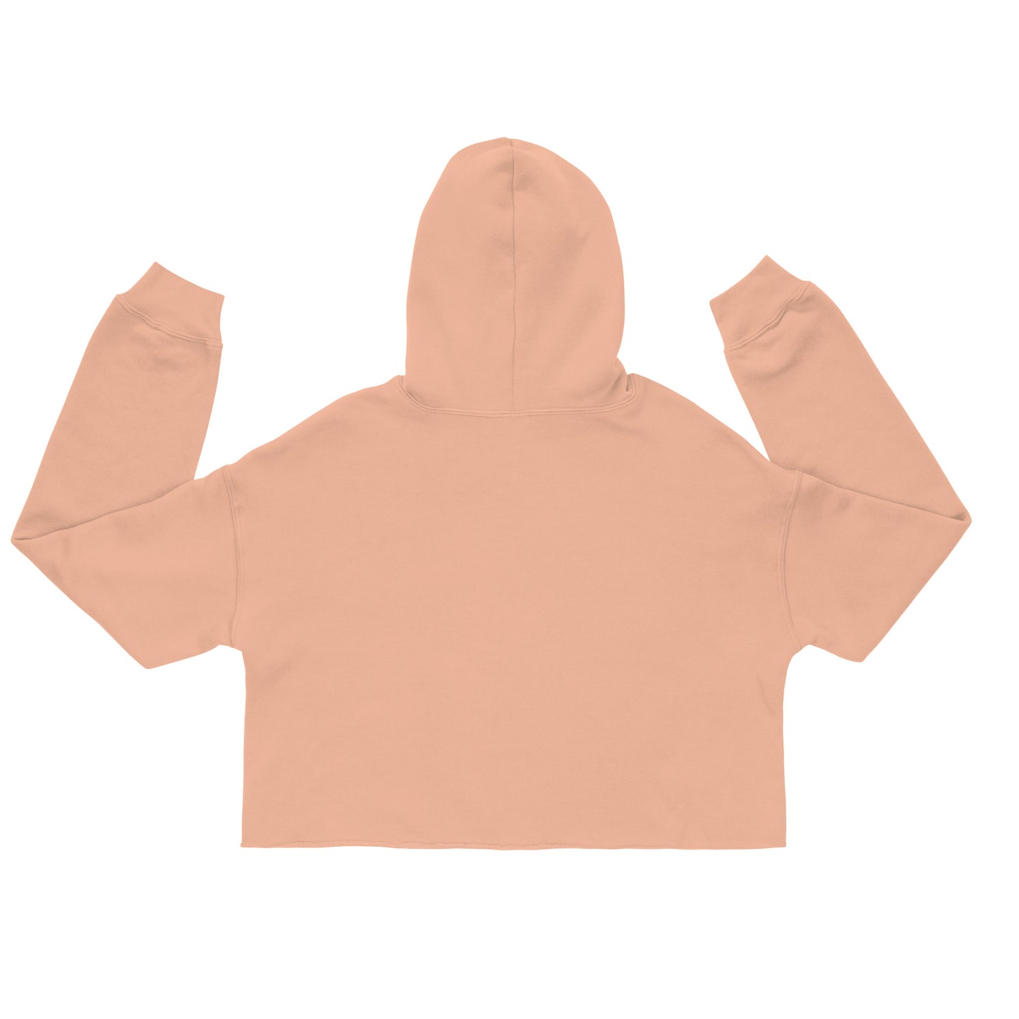 Midwest Rebellion Crop Hoodie